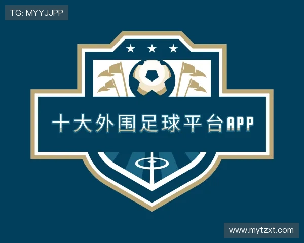关于十大外围足球平台app